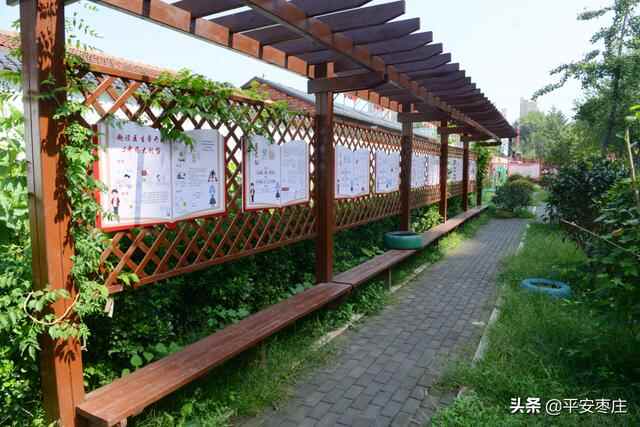 来了，滕州“口袋公园”地图