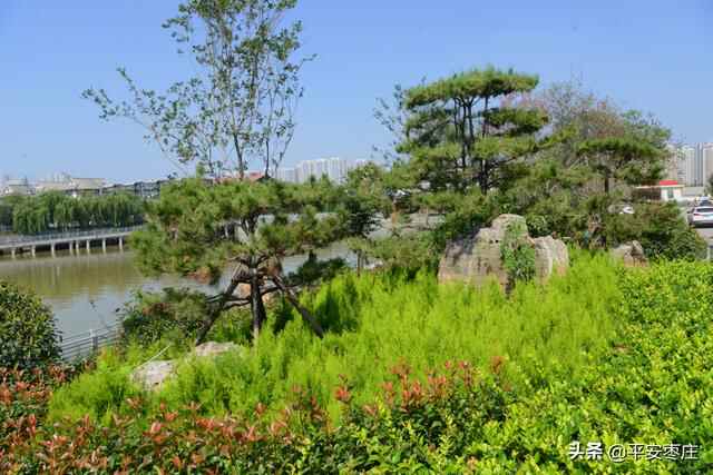 来了，滕州“口袋公园”地图