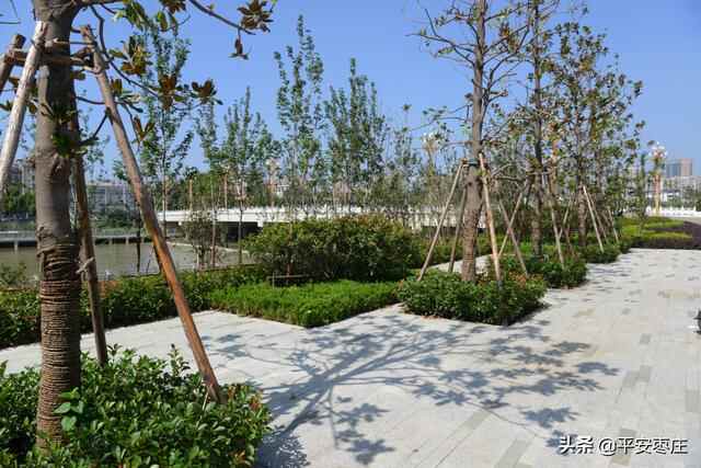 来了，滕州“口袋公园”地图