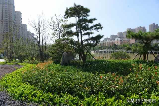 来了，滕州“口袋公园”地图