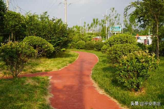 来了，滕州“口袋公园”地图