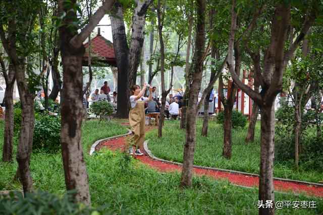 来了，滕州“口袋公园”地图