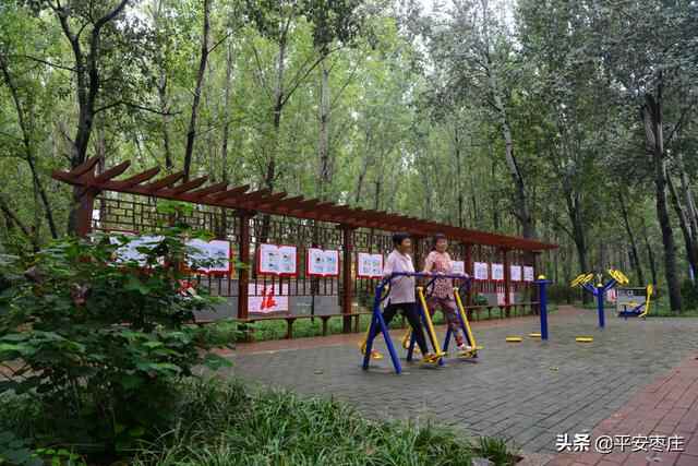 来了，滕州“口袋公园”地图