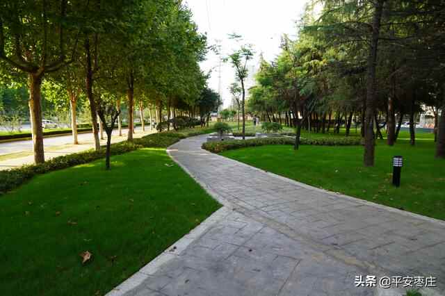 来了，滕州“口袋公园”地图