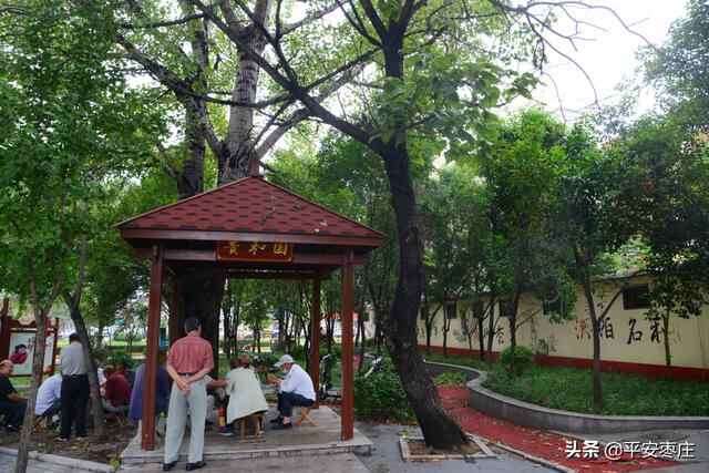 来了，滕州“口袋公园”地图