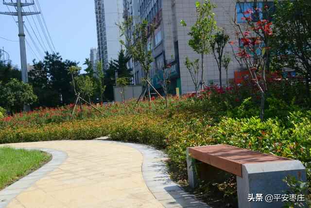 来了，滕州“口袋公园”地图