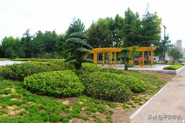 来了，滕州“口袋公园”地图