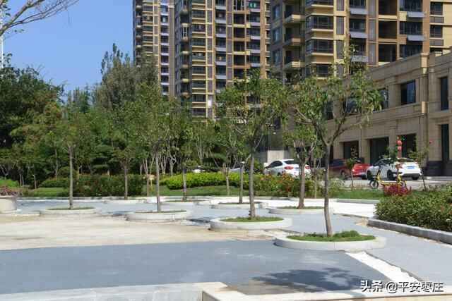 来了，滕州“口袋公园”地图