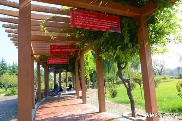 来了，滕州“口袋公园”地图