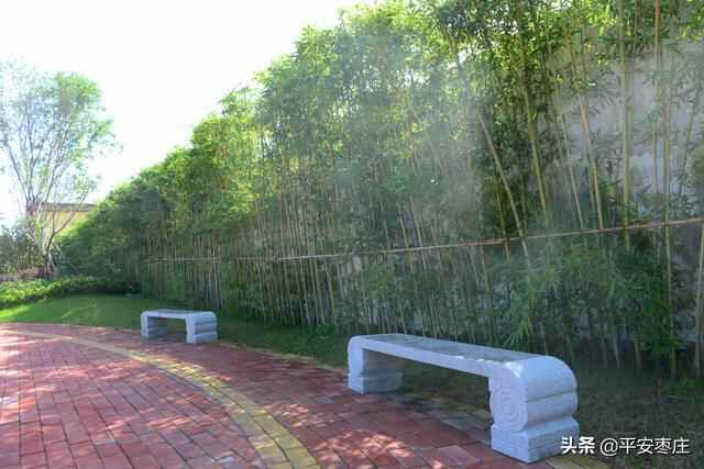 来了，滕州“口袋公园”地图