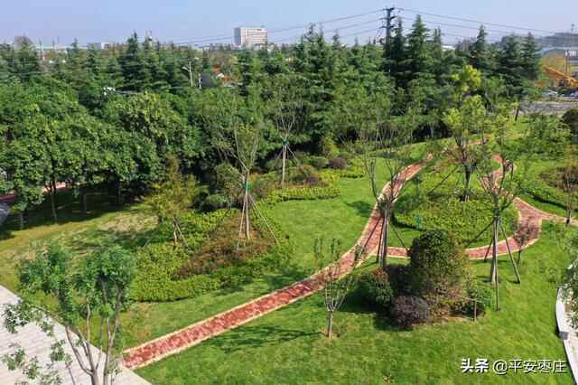 来了，滕州“口袋公园”地图