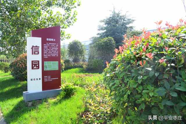 来了，滕州“口袋公园”地图