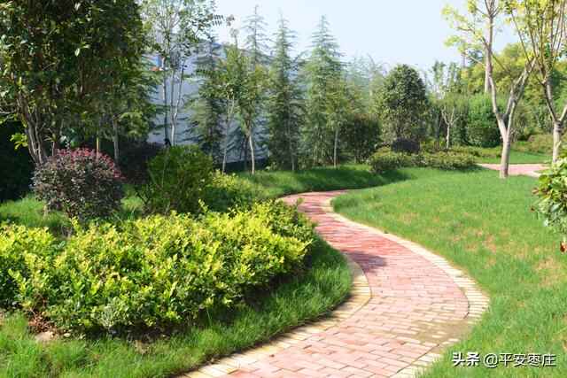 来了，滕州“口袋公园”地图