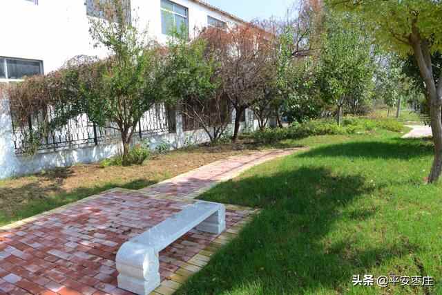 来了，滕州“口袋公园”地图