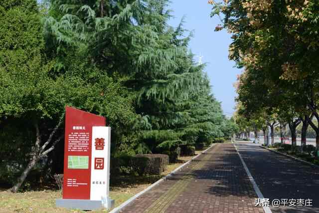 来了，滕州“口袋公园”地图