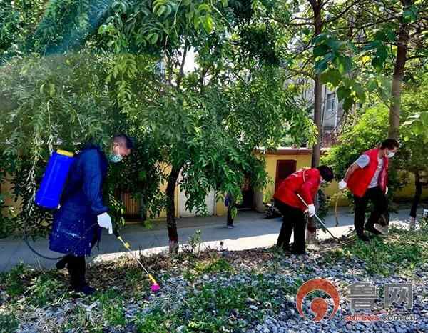 枣庄市市中区中心街街道全力助推文明城市创建工作提质增效