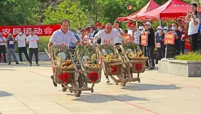 枣庄：多彩金秋 “丰”景如画