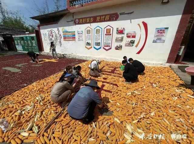 枣庄：多彩金秋 “丰”景如画