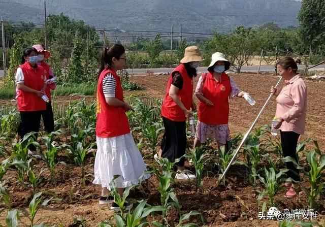 他，受到山亭区委区政府表扬