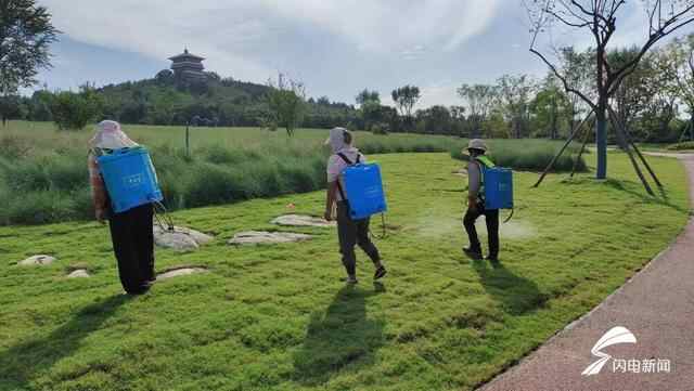枣庄薛城提升园林绿化管理水平 助力全国文明城市创建