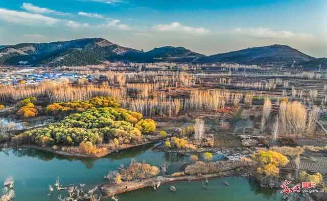 山东枣庄：库区冬景如画