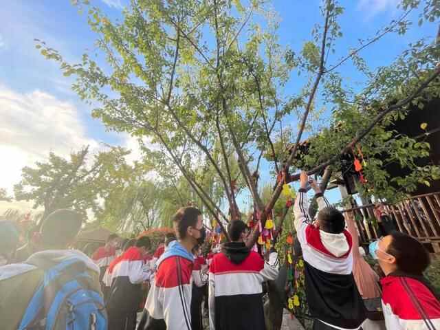 金秋寻梦！＂一碗黄花牛肉面＂为台儿庄古城带来了一场旅游热潮！