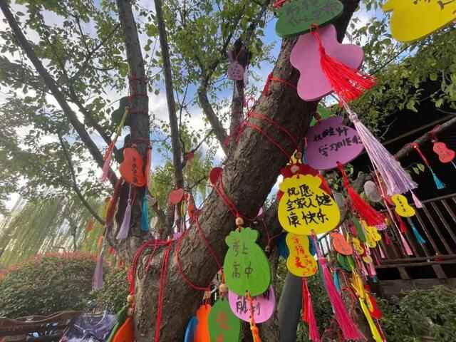 金秋寻梦！＂一碗黄花牛肉面＂为台儿庄古城带来了一场旅游热潮！