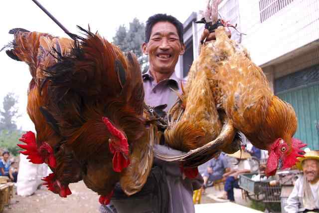 这些枣庄的民俗老歌谣，是否能勾起你童年的回忆