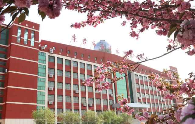 枣庄市中区补齐民生短板为市民幸福“加码”