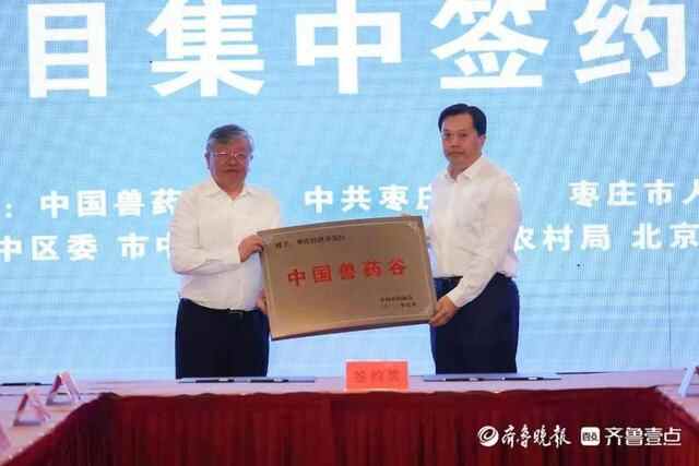 拿出“赶考”姿态，擦亮枣庄高质量发展的“市中名片”