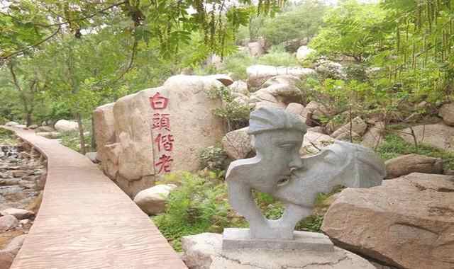 弘扬中华文明传播善国文化！努力打造“善国文明”滕州新名片