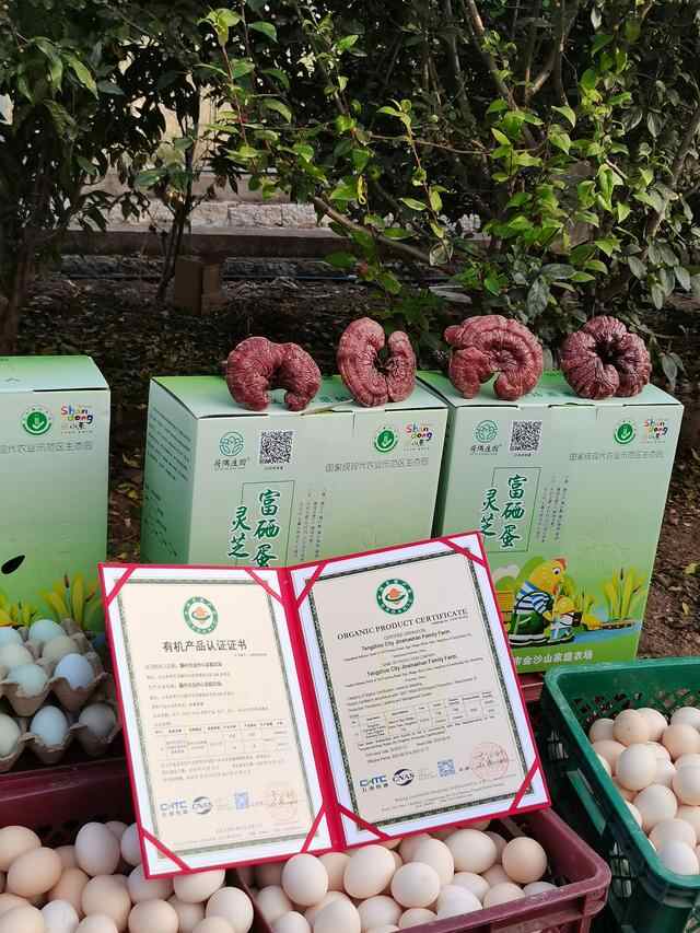 探访滕州市滨湖镇金沙山家庭农场经理施治水发展智慧农业的秘诀