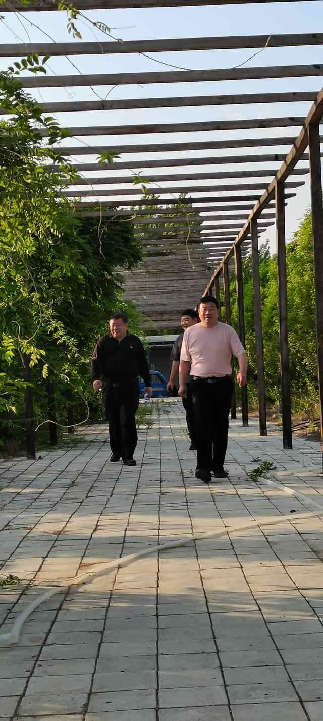 探访滕州市滨湖镇金沙山家庭农场经理施治水发展智慧农业的秘诀