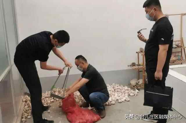 速看！台儿庄今日热点