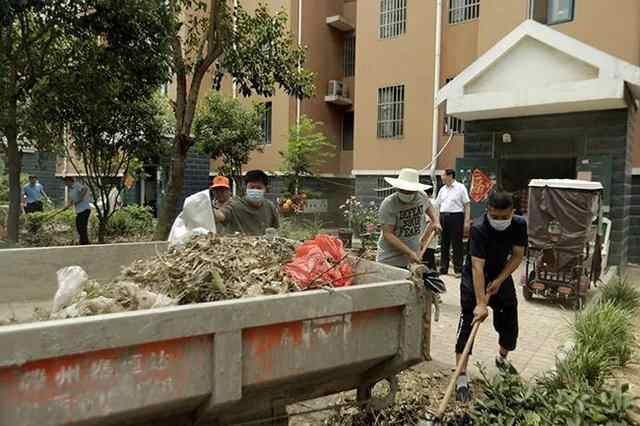 滕州市住建局开展创城攻坚志愿服务行动