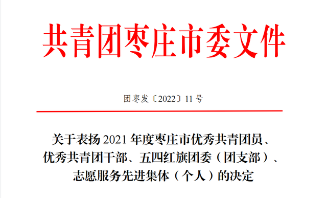 喜报 | 市**这些集体和个人荣获表彰