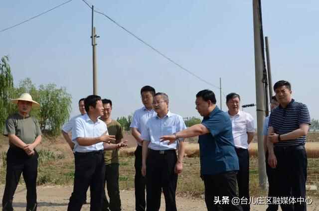 台儿庄：彭照辉调研三夏生产及秸秆禁烧工作