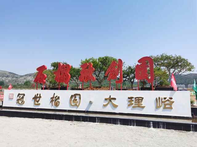 读懂枣庄2022：农旅融合引育新动能