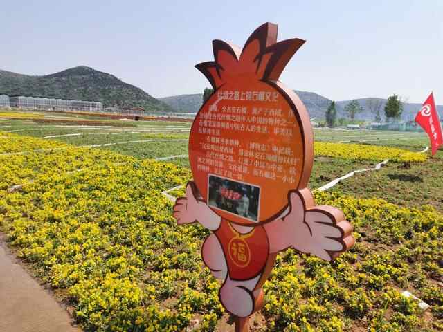 读懂枣庄2022：农旅融合引育新动能