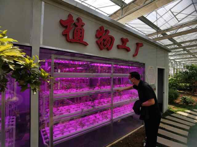 读懂枣庄2022：农旅融合引育新动能