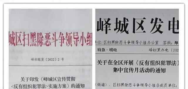 峄城区、台儿庄区深入开展《反有组织犯罪法》宣传活动