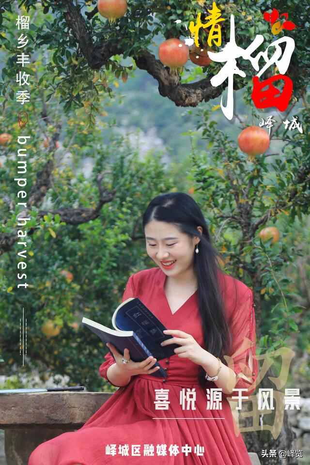 丰收季 | 情“榴”峄城