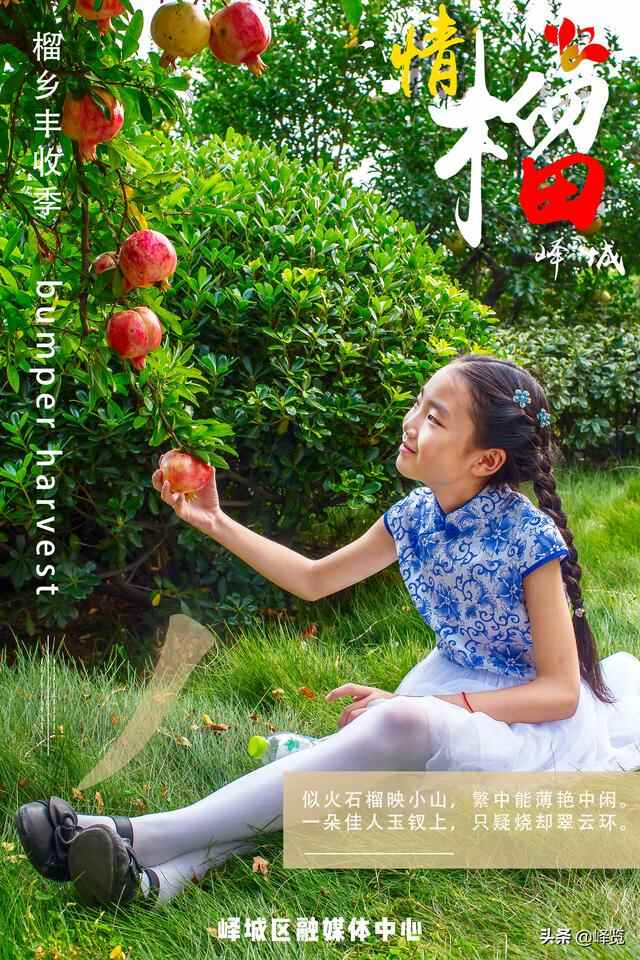 丰收季 | 情“榴”峄城