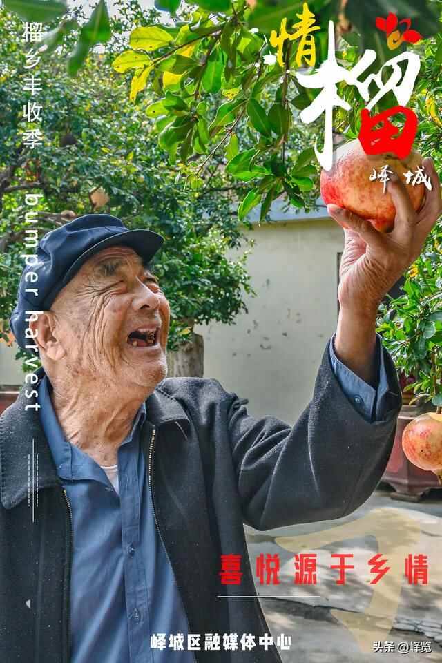 丰收季 | 情“榴”峄城