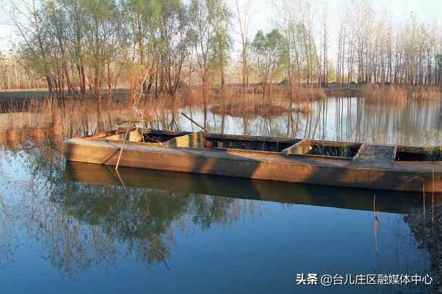 台儿庄区：沉舟水边横 秋意阑珊