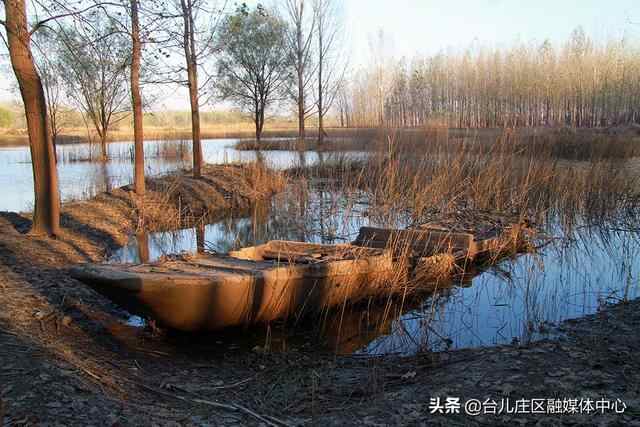 台儿庄区：沉舟水边横 秋意阑珊