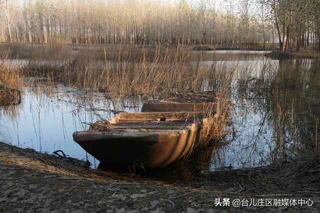 台儿庄区：沉舟水边横 秋意阑珊
