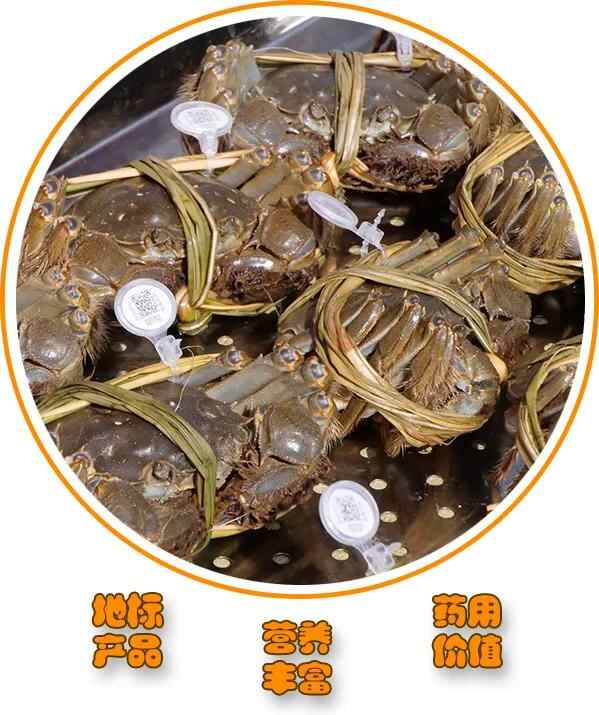 领“鲜”垦利 · 感“蟹”有你！黄河口大闸蟹今日开捕