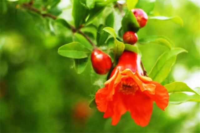 「“啄木鸟”行动」峄城区召开打击欺诈骗保专项整治行动推进会议