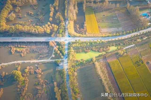 台儿庄区：涛沟河湿地秋色静美如画